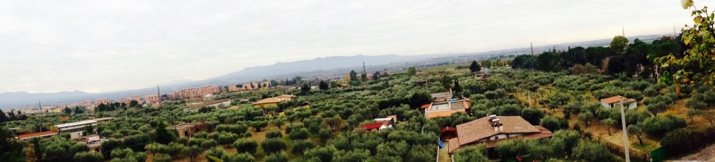 Una 'panoramica' di parte dei terreni dell'ex Pio istituto di Santo Spirito