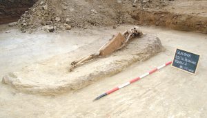Uno degli scheletri di donna ritrovato nel cantiere del sistema viario