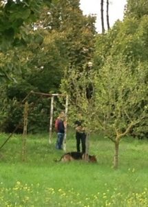 Gianluigi Marini e il presidente della onlus al parco